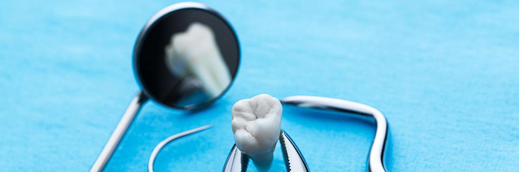 An extracted tooth and a dental mirror